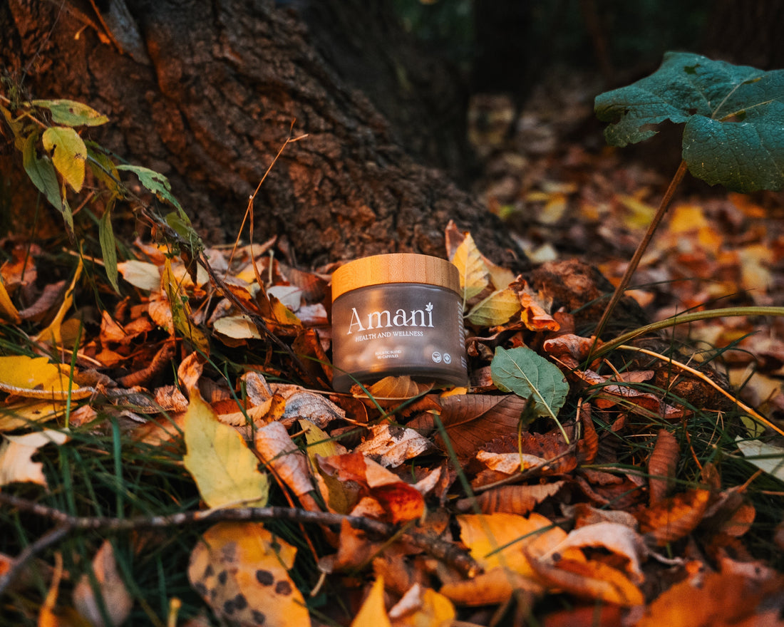 How to Stay Focused When the Days Get Shorter